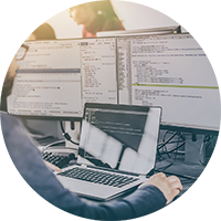 Software Development