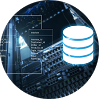 SQL Development